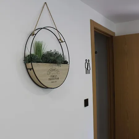 Casa Do Pato 2 Apartment Peso da Régua