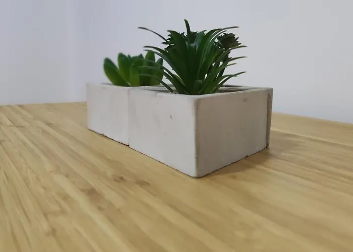 Casa Do Pato 2 * Peso da Régua