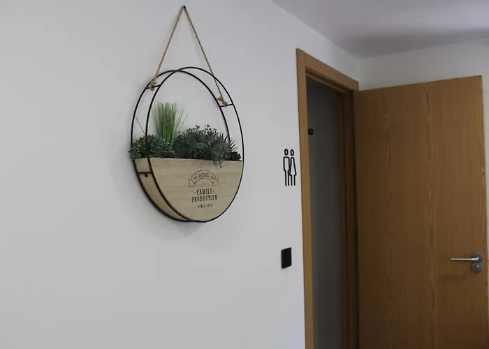 Casa Do Pato 2 Apartamento Peso da Régua